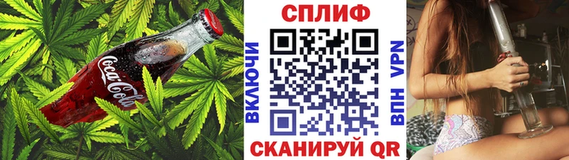 Купить  Судак  Еда ТГК конопля 